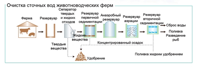 Очистка стоков ферм